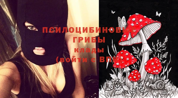 твердый Алексин