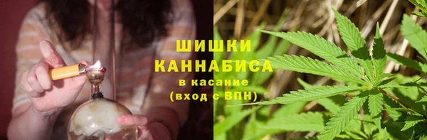 ПСИЛОЦИБИНОВЫЕ ГРИБЫ Алзамай