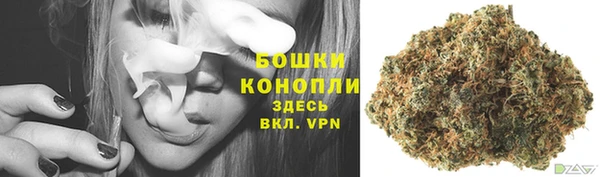 ПСИЛОЦИБИНОВЫЕ ГРИБЫ Алзамай
