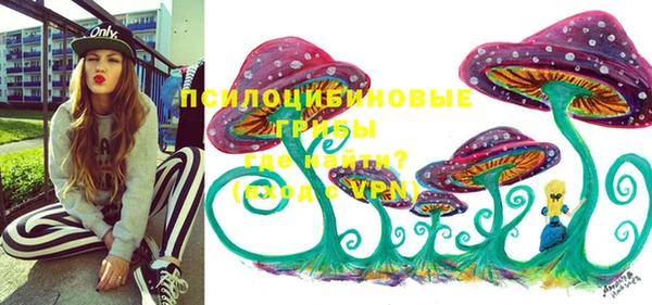 ПСИЛОЦИБИНОВЫЕ ГРИБЫ Алзамай