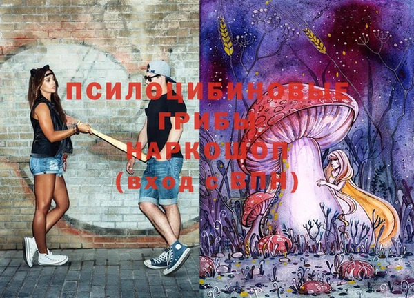 твердый Алексин