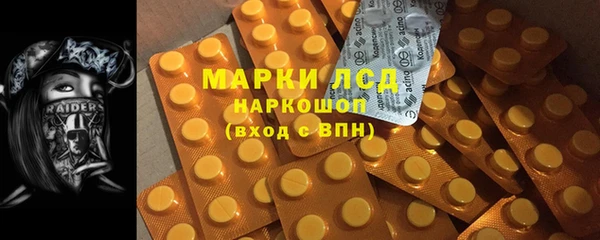 ПСИЛОЦИБИНОВЫЕ ГРИБЫ Алзамай